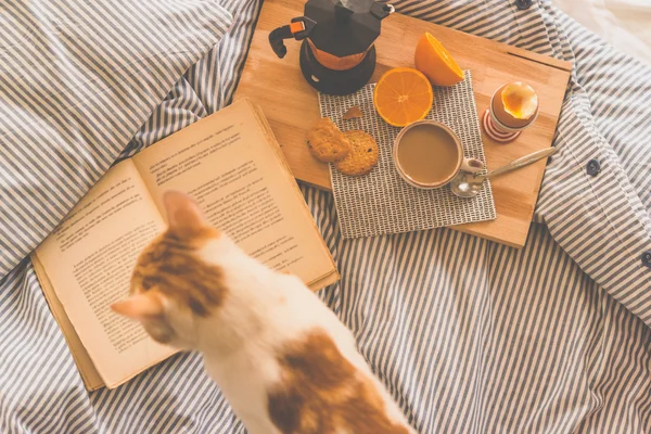 Ontbijt geserveerd in bed — Stockfoto