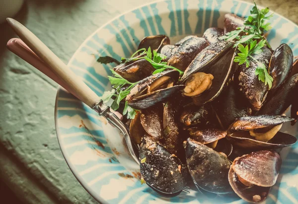 Mussels — Stock Photo, Image