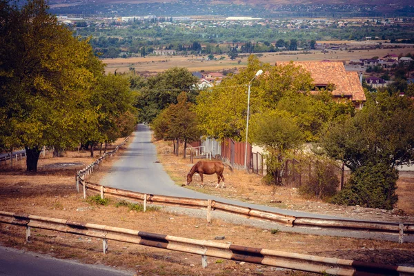 Georgia — Stock Photo, Image