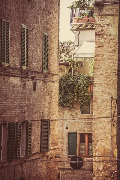 Siena. — Fotografia de Stock