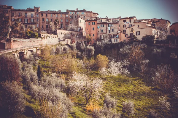 Siena. — Fotografia de Stock