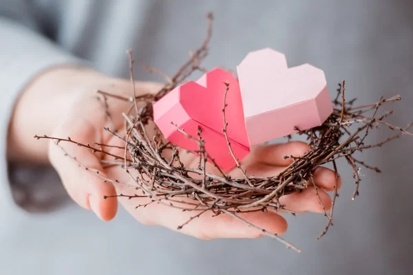 Hearts nest — Stock Photo, Image