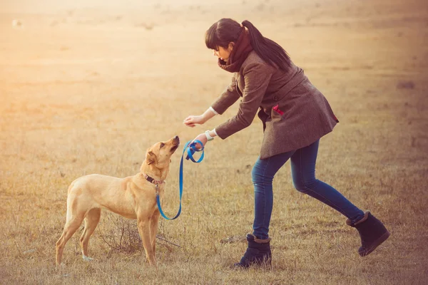 Wandelen met de hond — Stockfoto