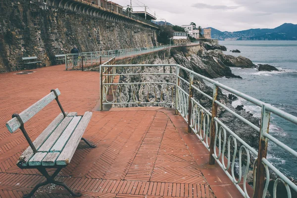 Nervi — Foto Stock