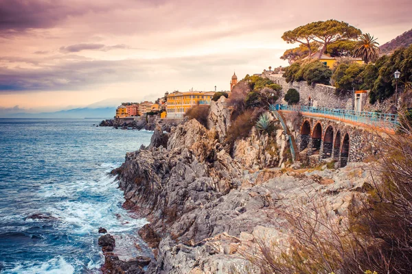 Nervi — Foto Stock