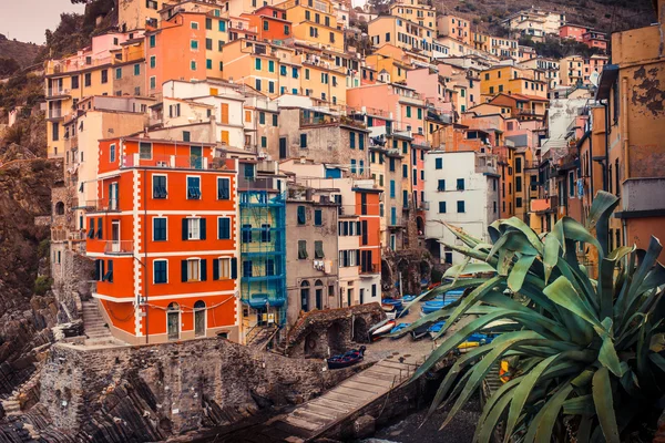 Cinque Terre — Stock Photo, Image