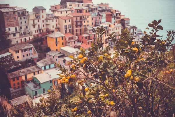 Cinque terre — Foto de Stock