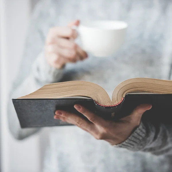 Leitura — Fotografia de Stock