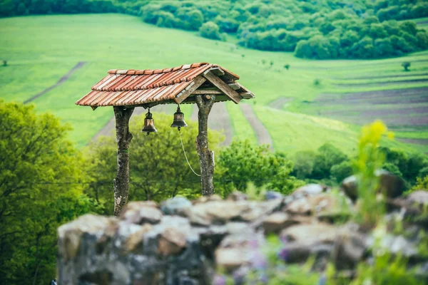 Dmanisi. — Foto de Stock