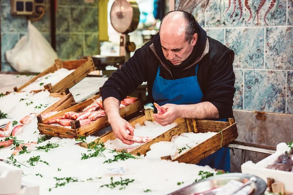 Loja de peixe — Fotografia de Stock