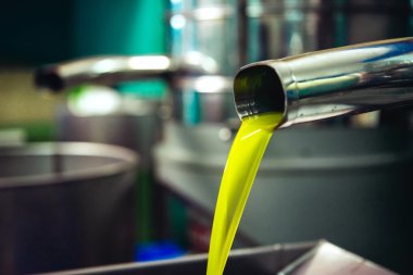 Soğuk-basın Fabrikası'nda petrol