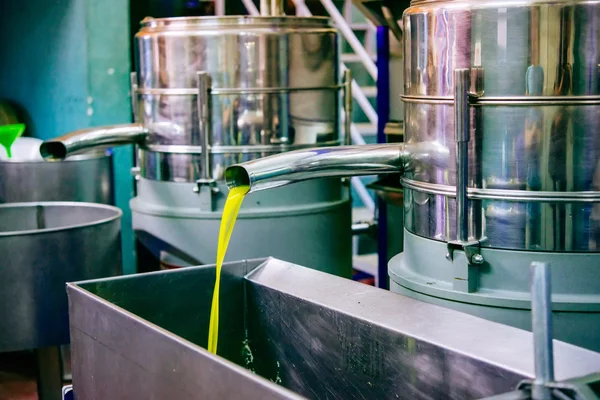 Oil at a cold-press factory — Stock Photo, Image