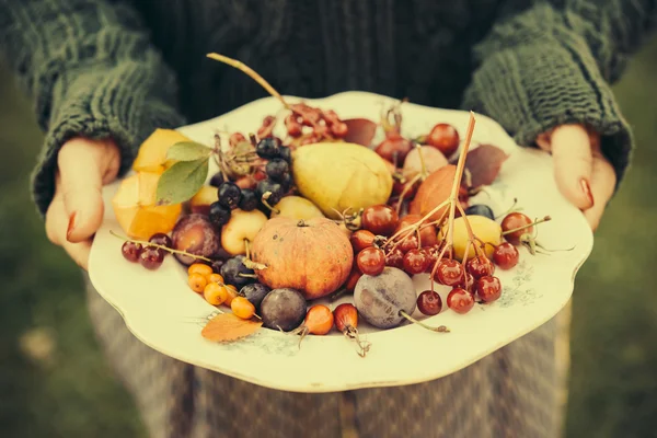 Bayas y frutas de otoño — Foto de Stock