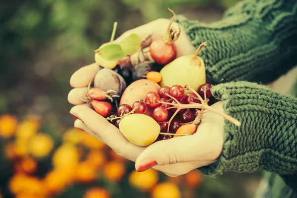 Handful of autumn berries and fruits — Stock Photo, Image