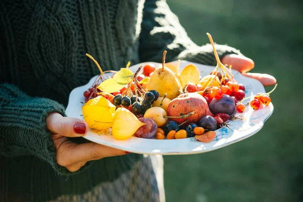 Autumn berries and fruits — Stock Photo, Image