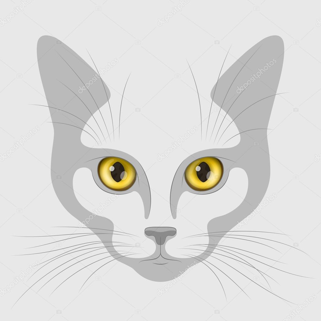 Kot Morda Oczy żółty Grafika Wektorowa Vaselena 92281822