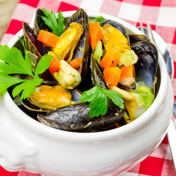 Cozze fresche da vicino — Foto Stock