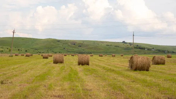 Bales Hay Field Horizontal Rural Landscape Harvest Season Idyllic Summer — Stock Photo, Image