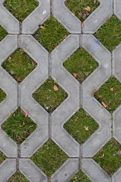 Betonnen Rooster Met Groen Gras Eco Vriendelijke Stad Straatdecoratie Bovenaanzicht — Stockfoto