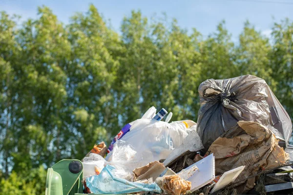 Overflowing Trash Can Background Green Grove Environmental Pollution Concept Human — Stock Photo, Image