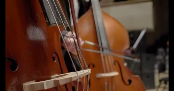 Профессиональное исполнение работ музыкантов на контрабасе — стоковое видео