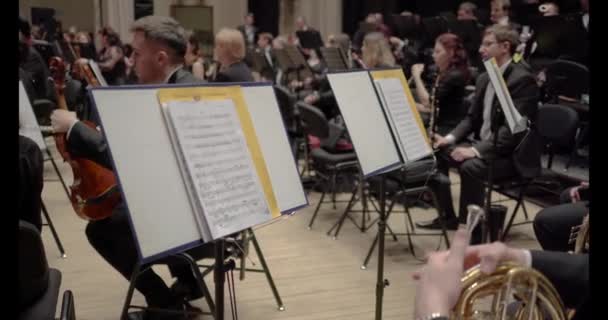 En grupp musiker med instrument förbereder sig för att uppträda på konserten — Stockvideo