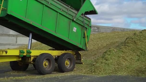 Maszyna wylewa jedzenie dla krów — Wideo stockowe