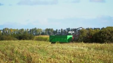 Tarlada çim biçiyorum.