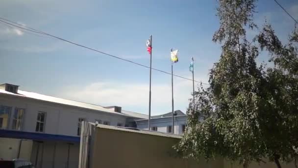 Tre flaggor fladdrar i vinden — Stockvideo