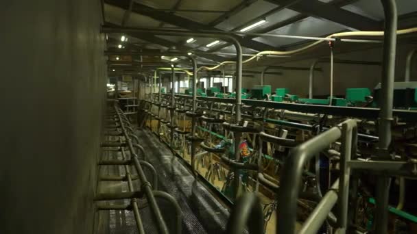 Wassen van de winkel waar de koeien worden gemolken — Stockvideo