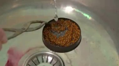 Tahıl ve tahıl laboratuvar çalışmaları