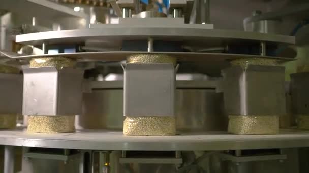 Convoyeur à grains à l'usine — Video