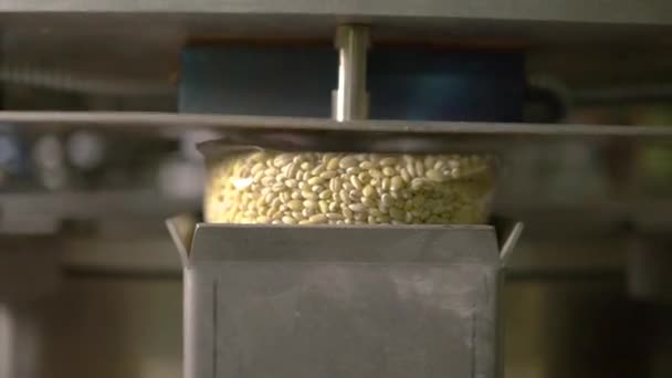 Transportador de grãos na planta — Vídeo de Stock