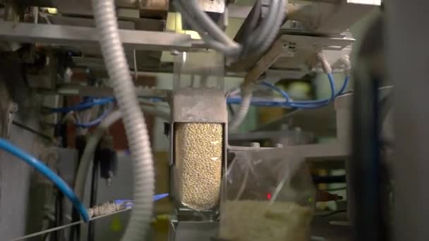 Transportador de grãos na planta — Vídeo de Stock