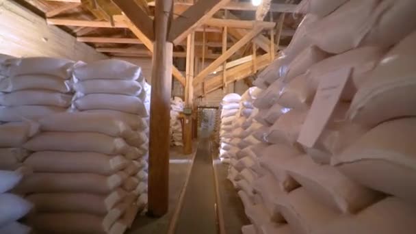 Pytle na obilí ve skladu — Stock video