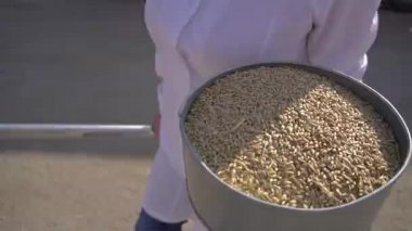 Tahıl ve tahıl laboratuvar çalışmaları