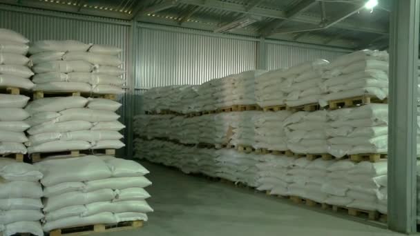 Sacchetti di grano nel magazzino della fabbrica — Video Stock