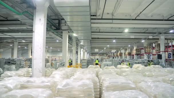 Οι εργαζόμενοι εργάζονται σε αποθήκη με εμπορεύματα — Αρχείο Βίντεο