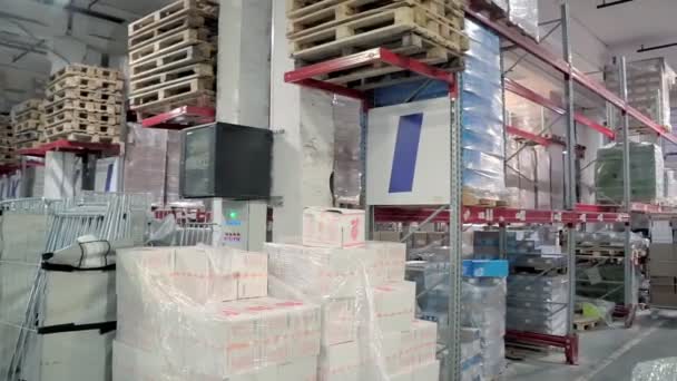 Pracovníci pracují ve skladu se zbožím — Stock video