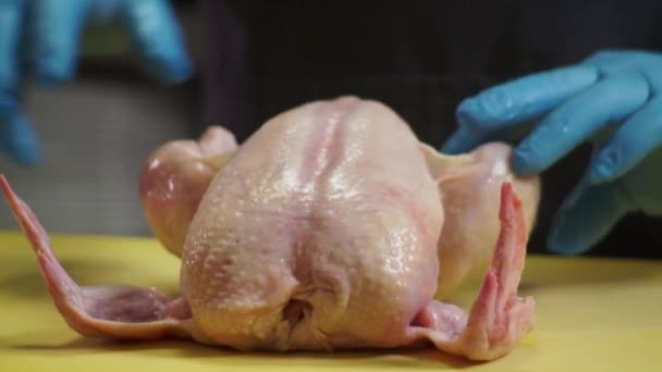 En kock i blå handskar skär upp en kyckling på en hackbräda — Stockvideo