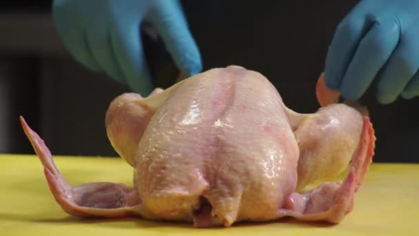 Szef kuchni w niebieskich rękawiczkach kroi kurczaka na desce do krojenia. — Wideo stockowe