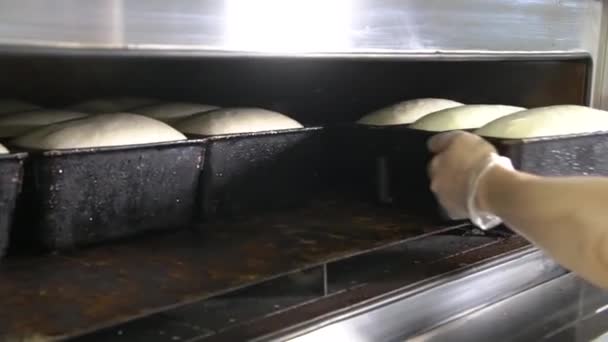 Deeg in mallen in de oven — Stockvideo