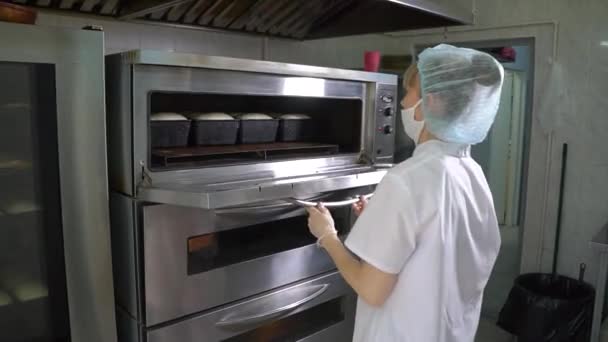 Dough in molds put in the oven — Stock Video