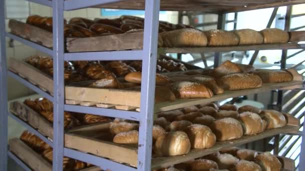 Пекарные изделия лежат на поддоне в пекарне — стоковое видео