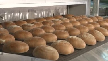 fırında ekmek taşıma bandında hareket eder
