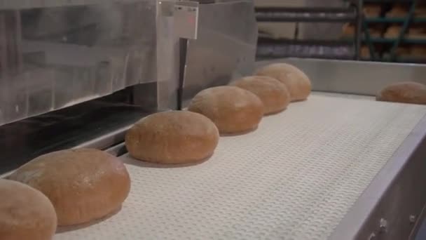 Gebakken brood beweegt op transportband — Stockvideo