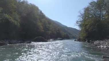 Dağların arasındaki ormanda akan nehir.