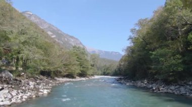 Dağların arasındaki ormanda akan nehir.