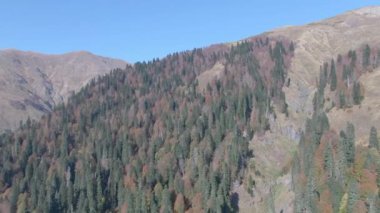 Kuşbakışı manzaralı ormandaki güzel dağlar.