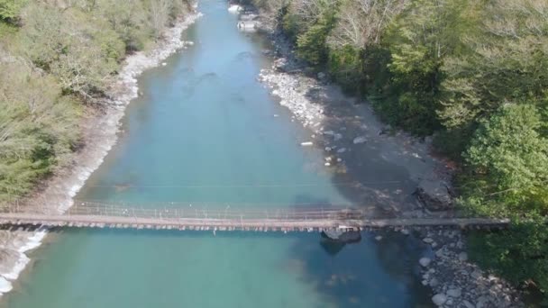 Houten brug over de rivier in het bos — Stockvideo